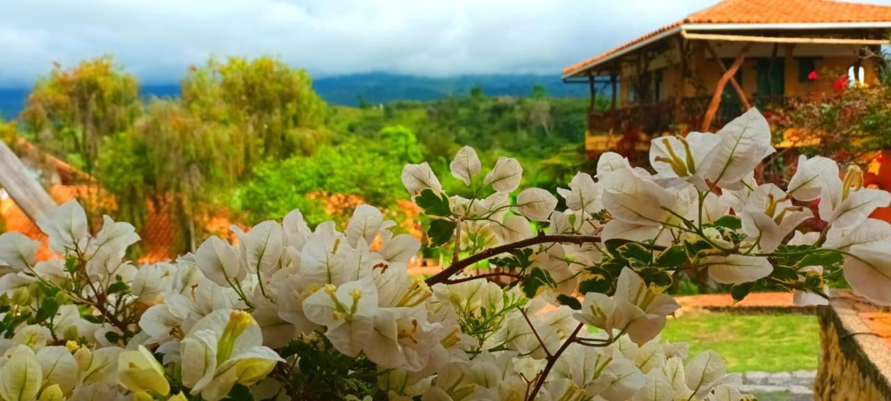 Macua Villa Chipata Exterior photo